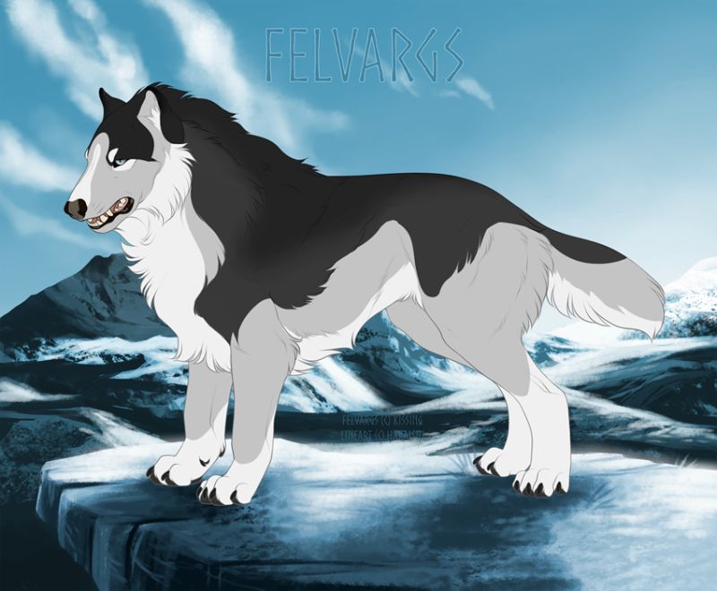 536_Cody