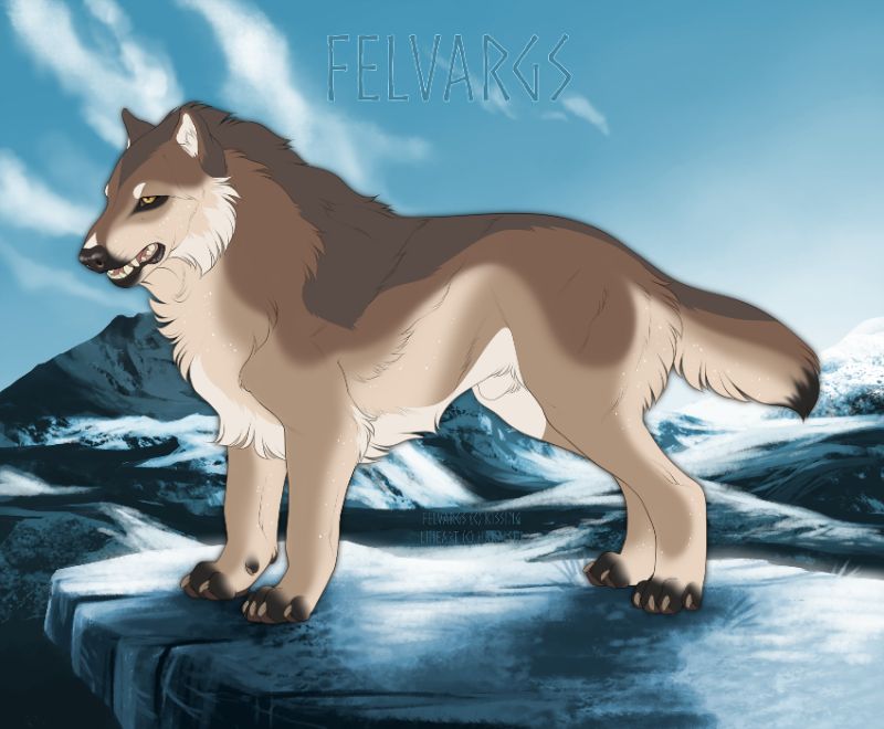 5491_Toka