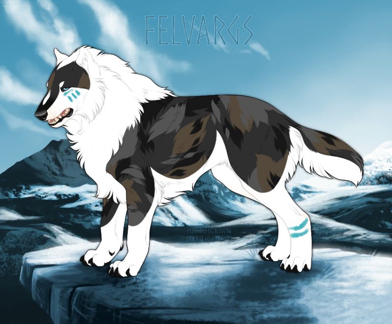 5495_Cherokee