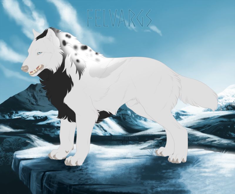 5506_Haemiir