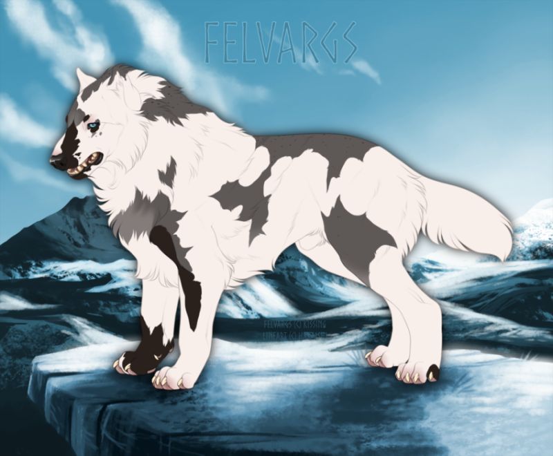 552_Flynn