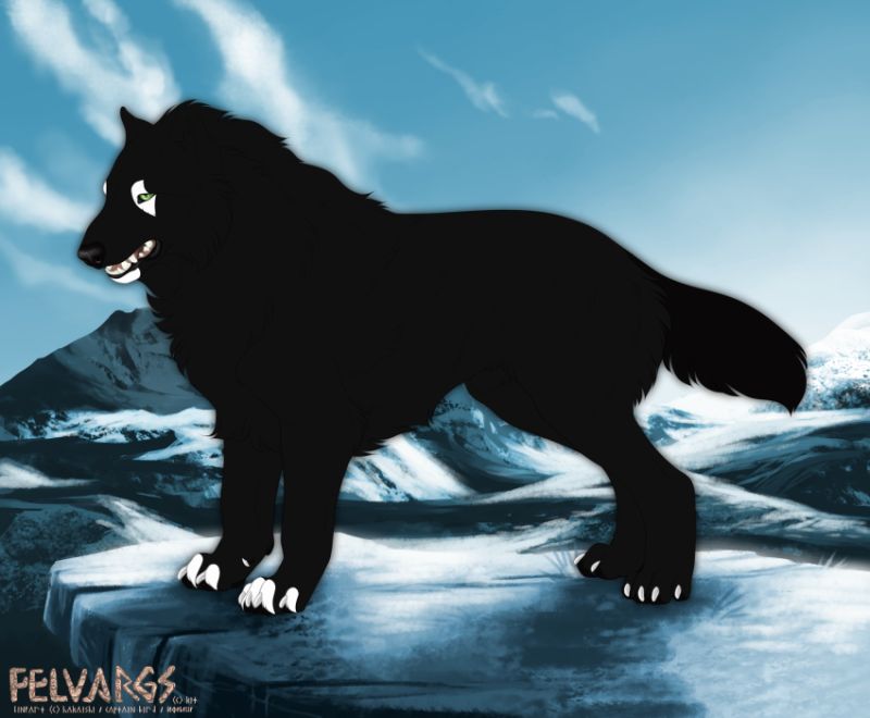 5603_Onyx