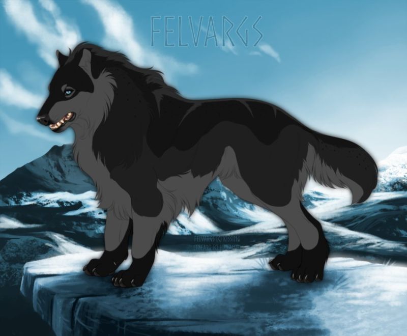 560_Taima