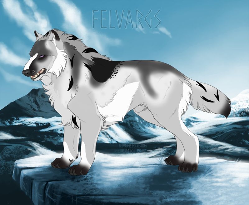 5675_Ryko