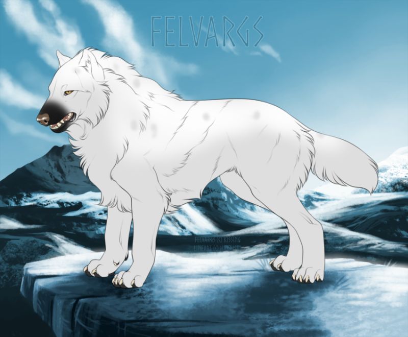 575_Snow