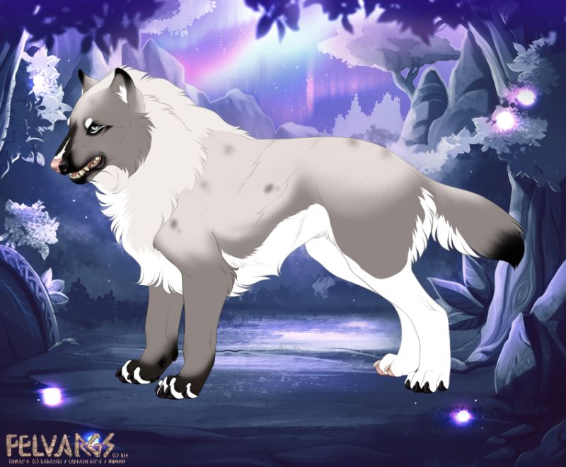 5833_Imara
