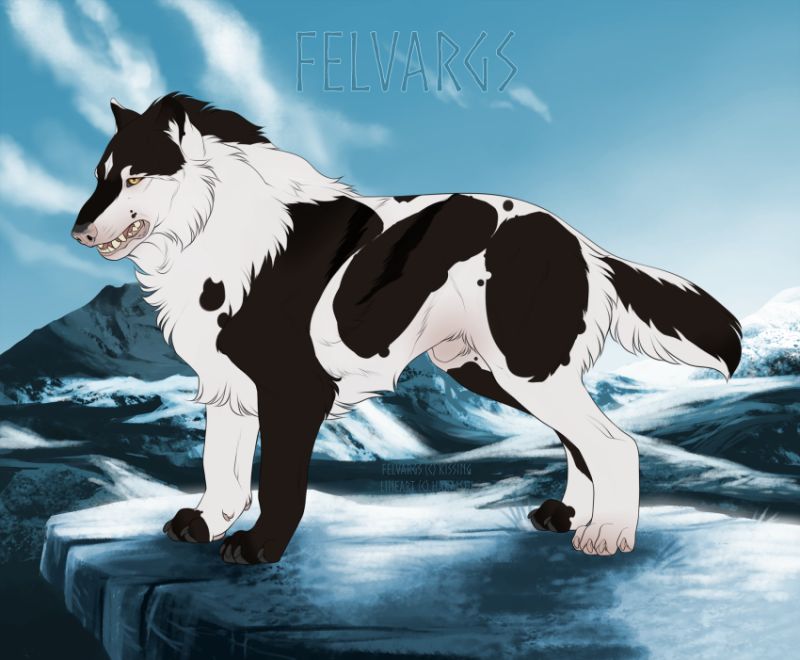 6145_Senka