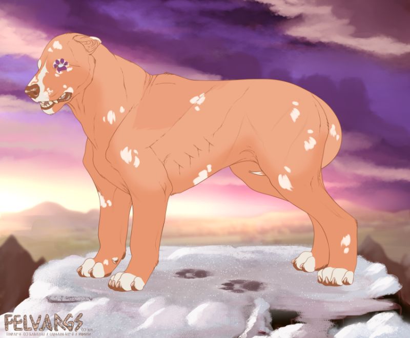 6150_Bean