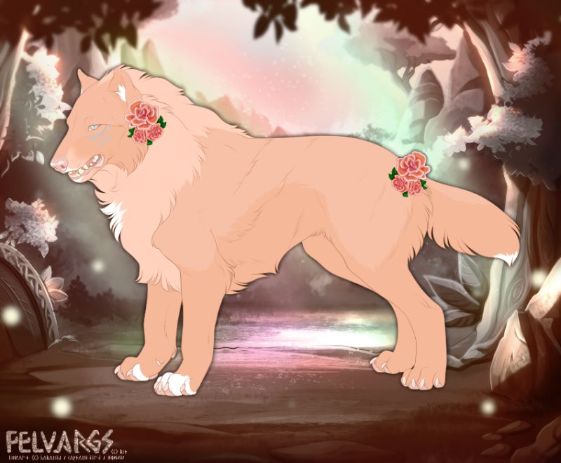 6388_Willow