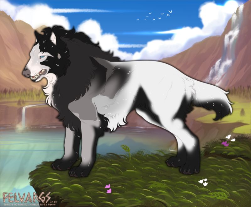 6451_Vidicus