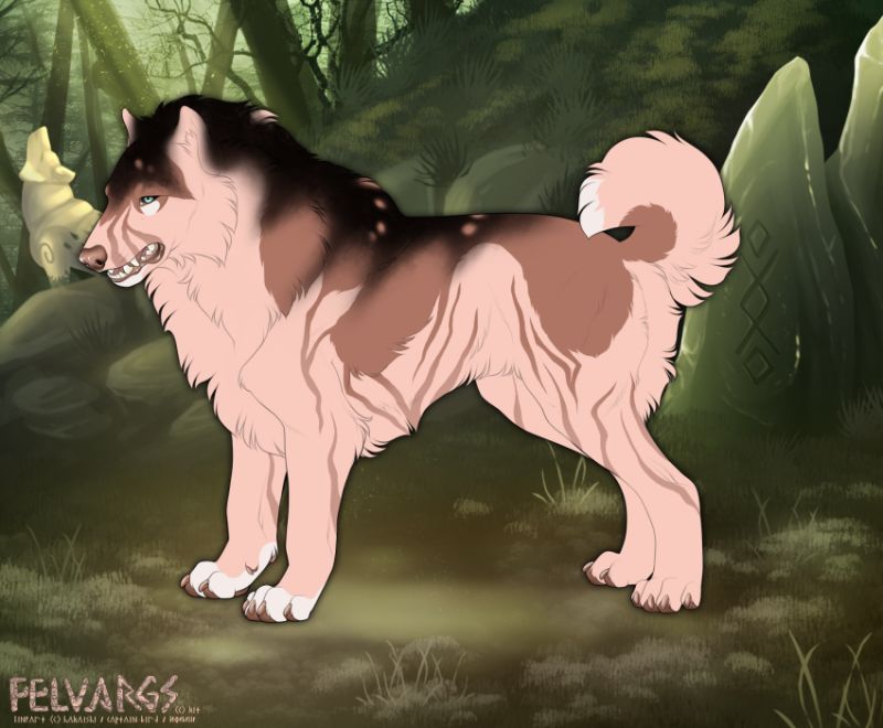 6454_Koda