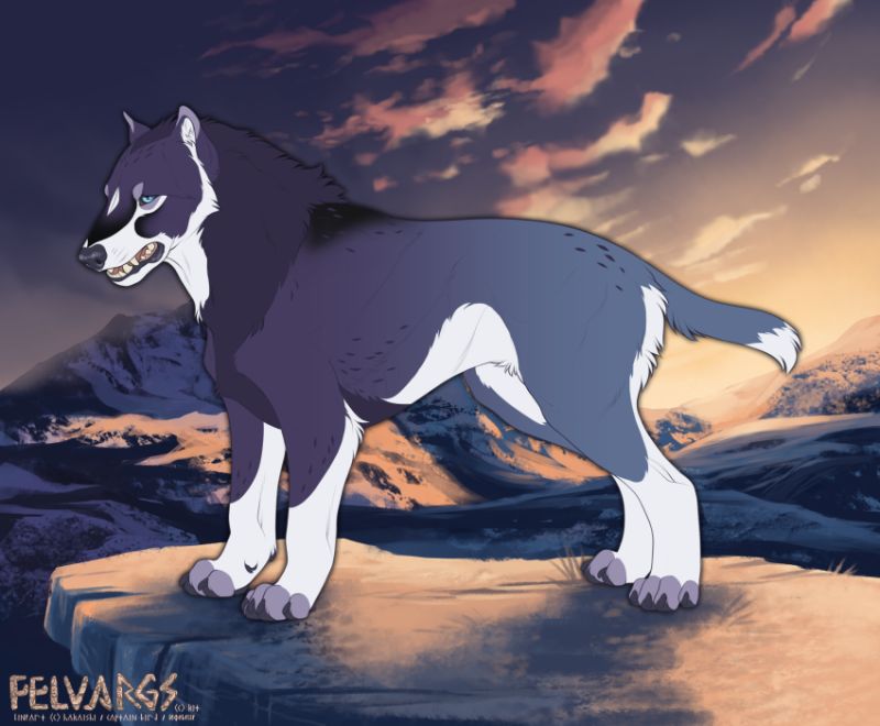 6476_Tytus