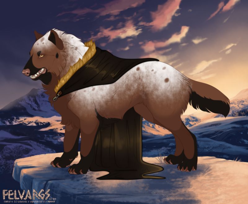 6526_Bear