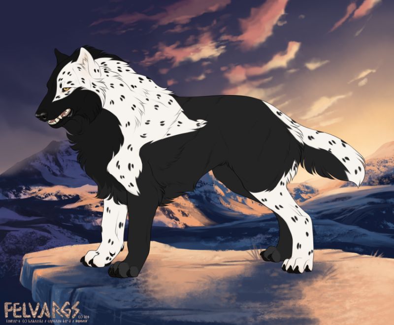 6530_Mali