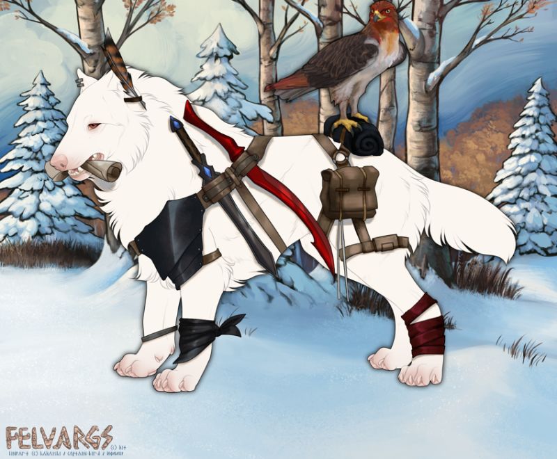 6562_Isshin