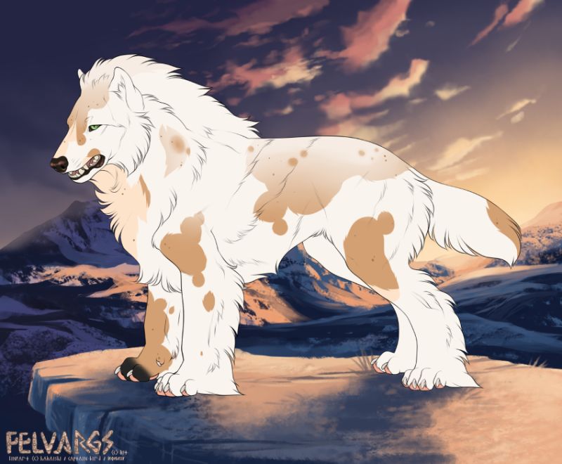 6605_Mishka