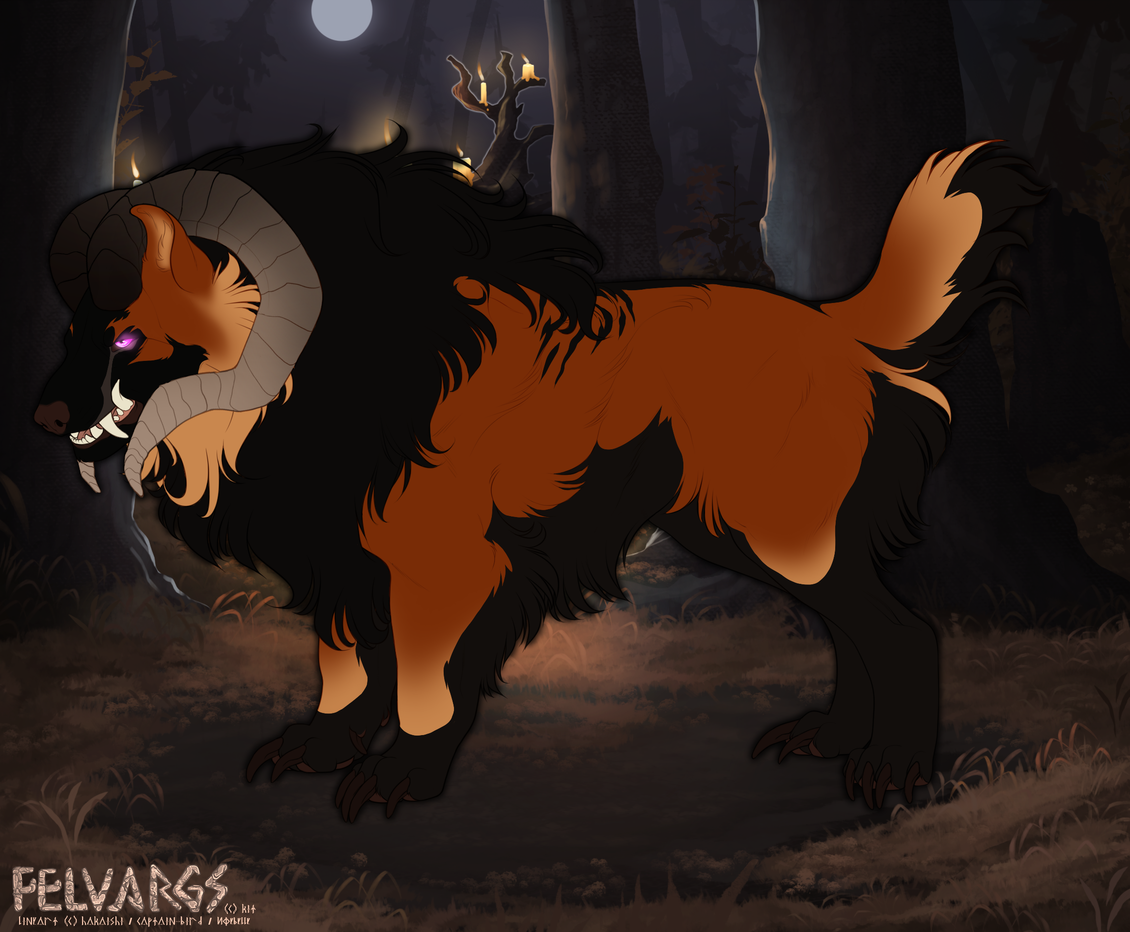 6654_reynard