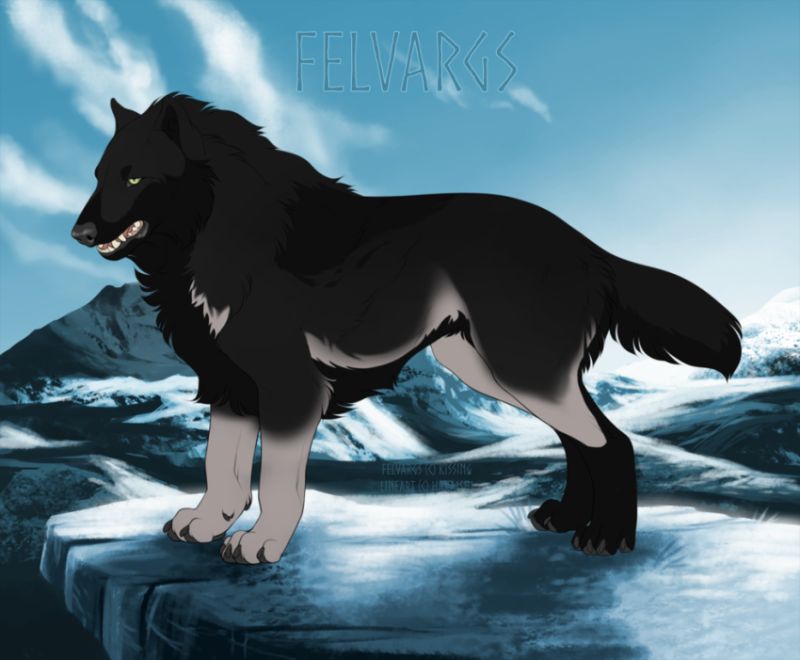 676_Bellatrix