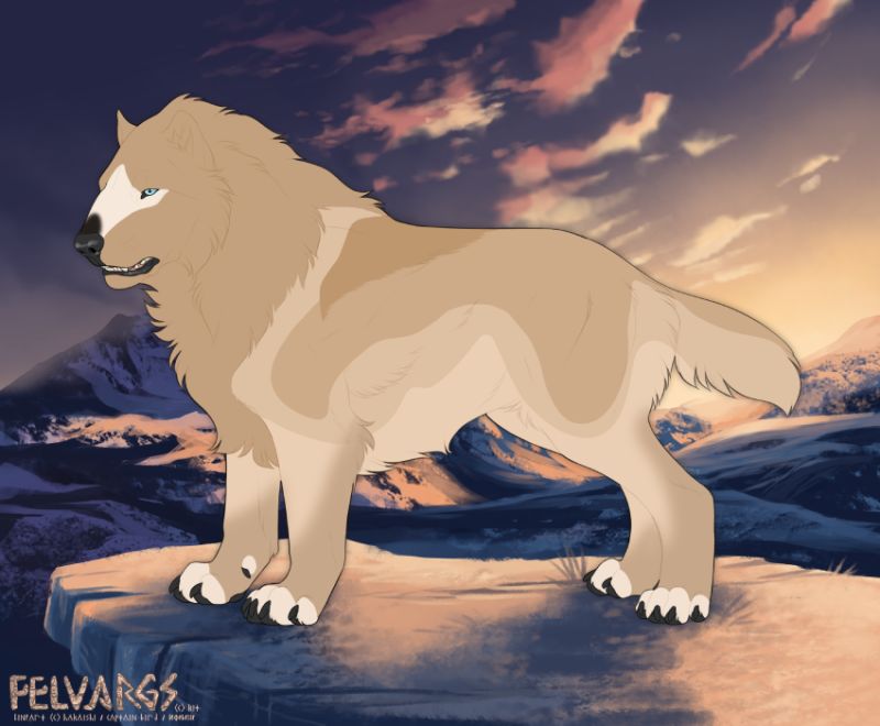 6806_Salik