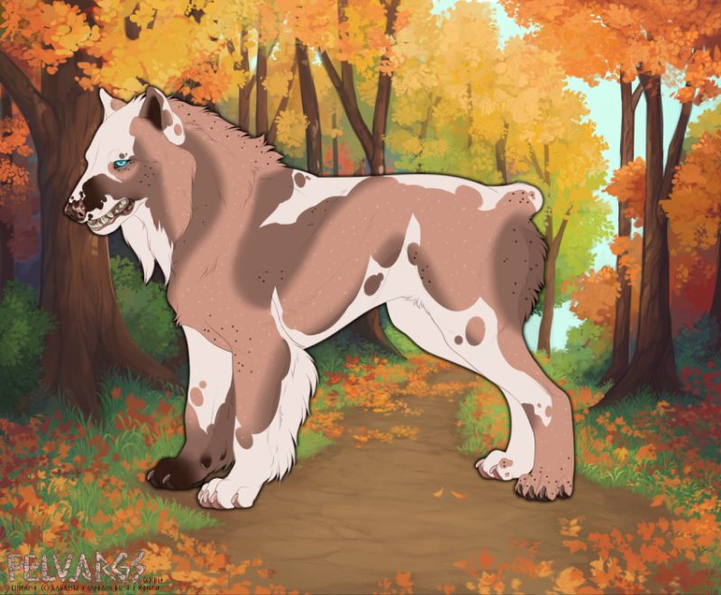 6856_Maple