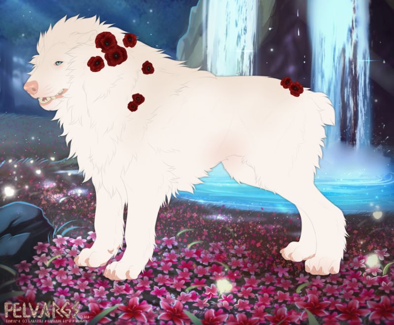 6873_Poppy