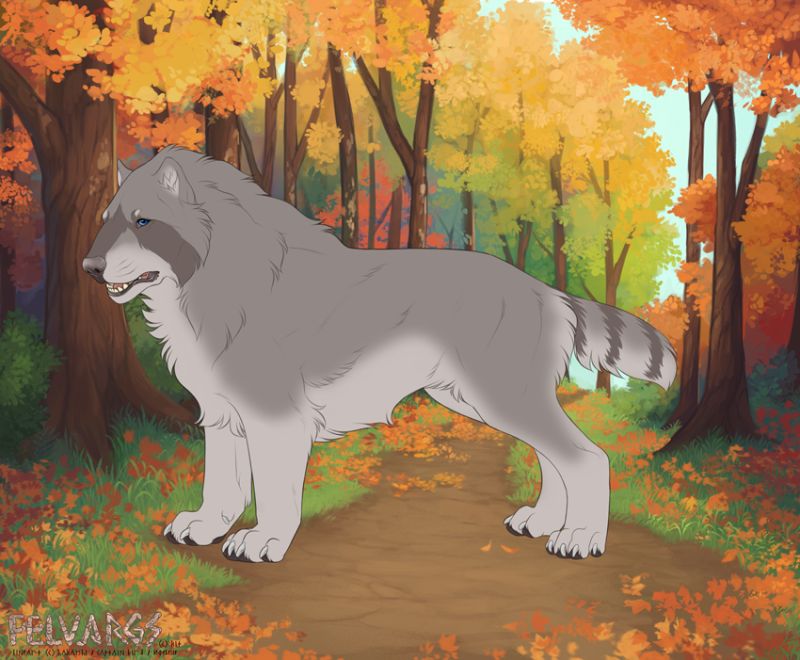 6900_Raccoon