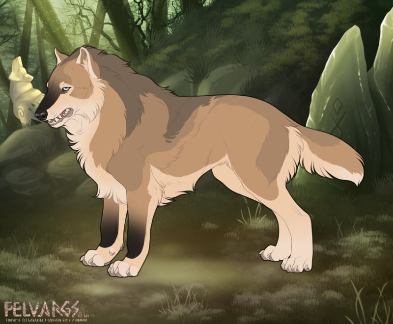 6922_Halldor