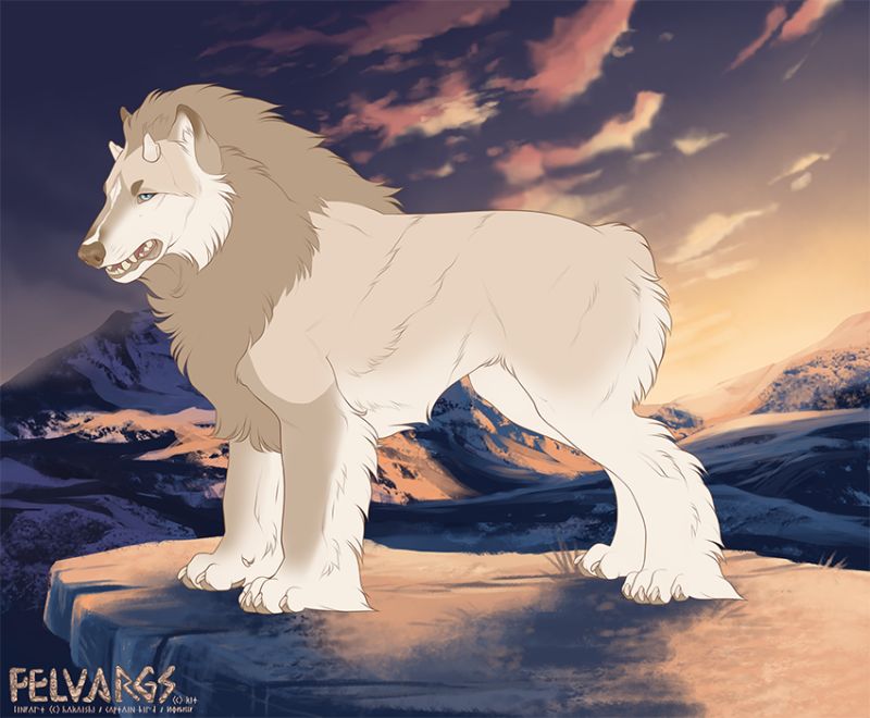 7032_Daelir