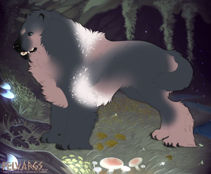 7045_Ravyn