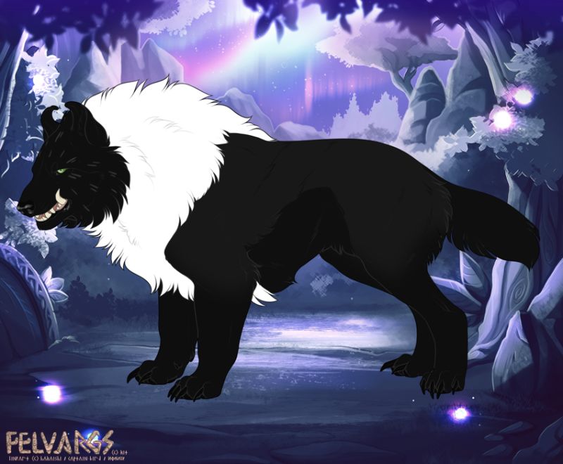 7081_Morvran