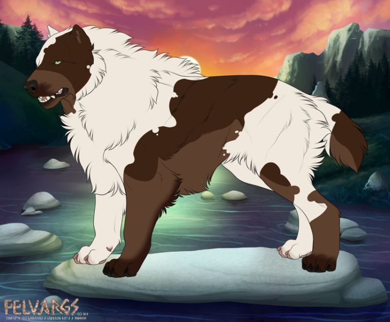 7093_Brownie
