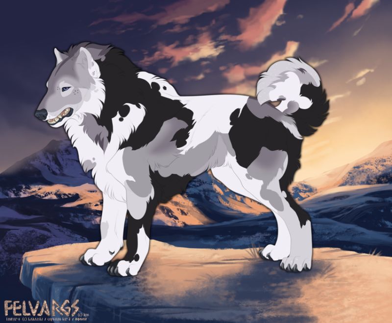 7099_Volk