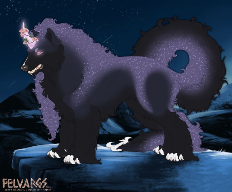 7358_Noatak