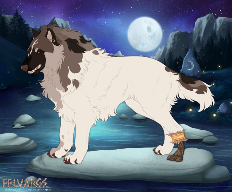 7417_Koda