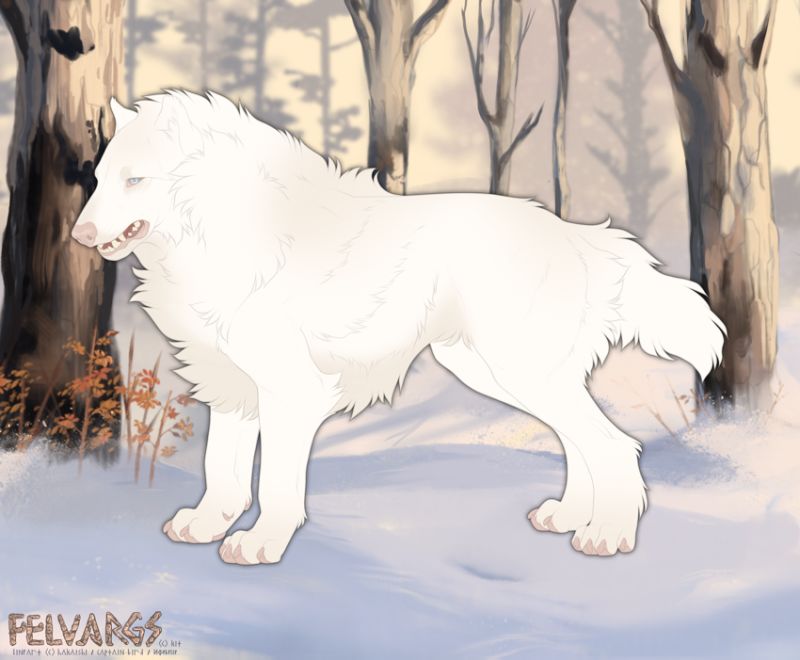 7509_Nivorn