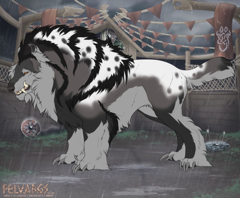 7841_derja