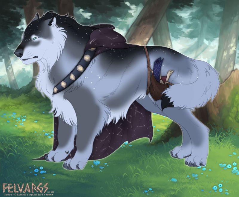 788_Ursa