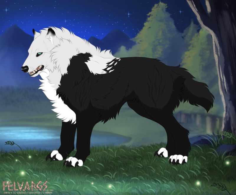 7920_valor