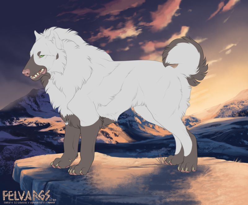 7932_eira