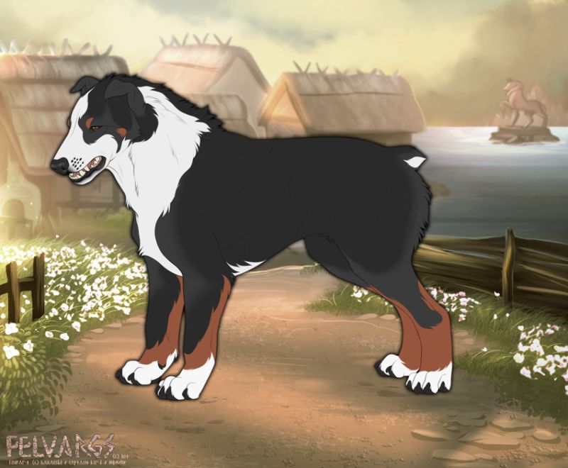7941_sonny
