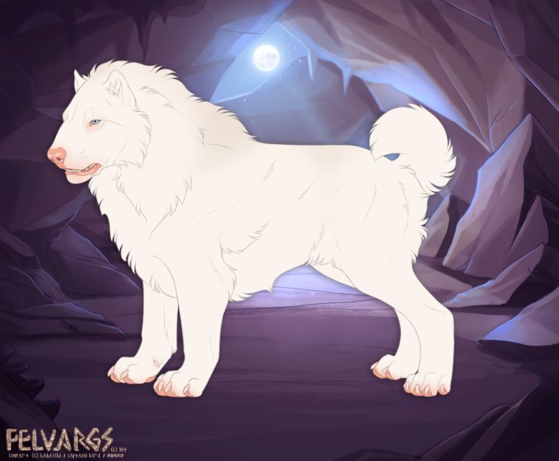7985_lokiin