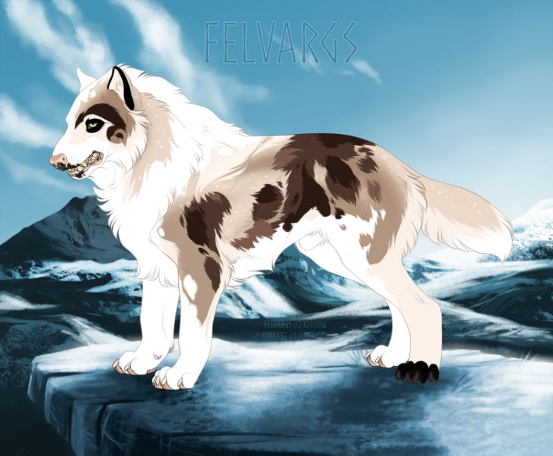 801_Felix