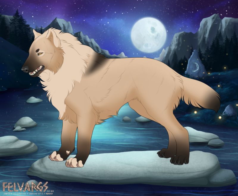 8036_baldr
