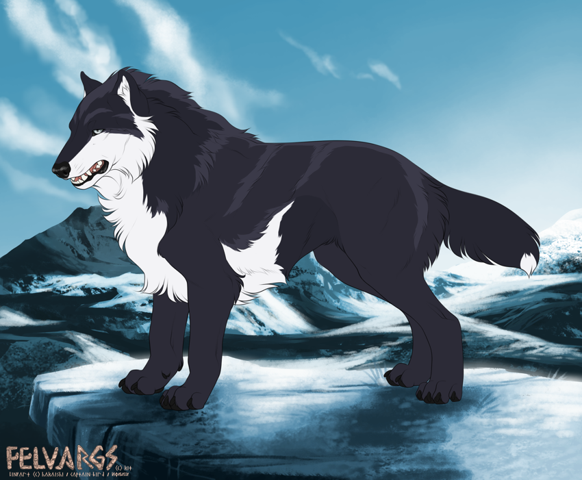 8082_miska