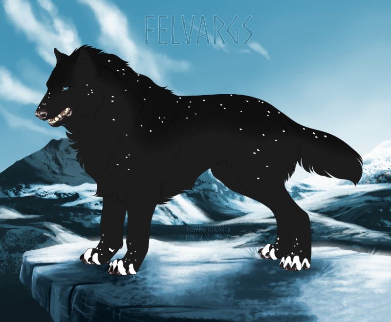 873_Constellation