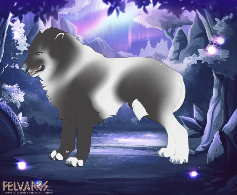 885_Starfall
