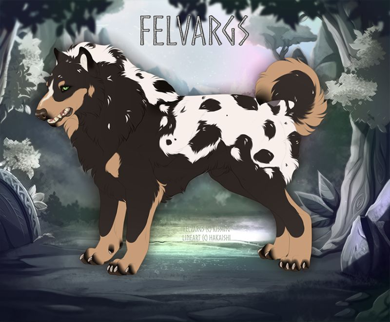 907_Finnian