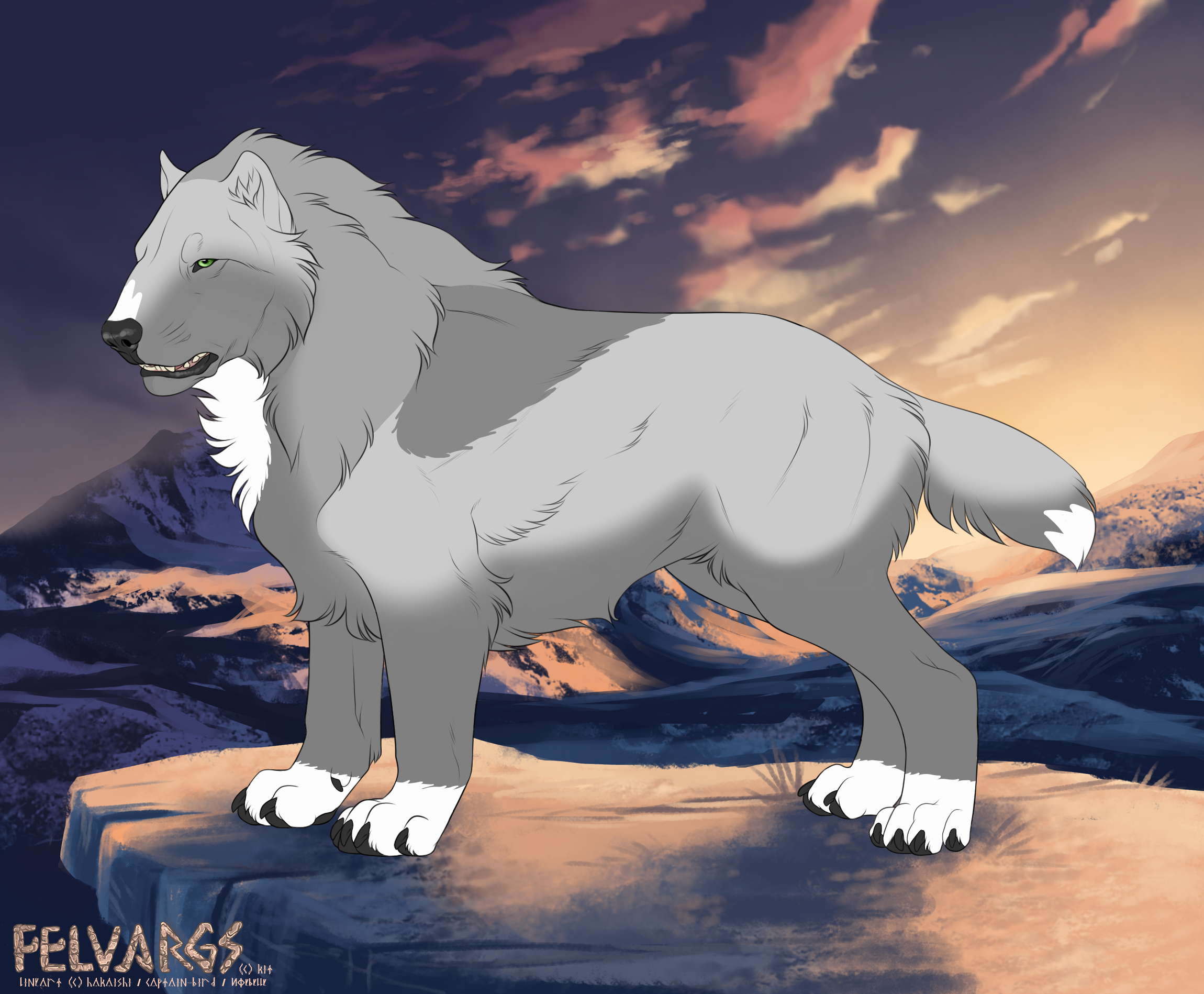 9081_eira