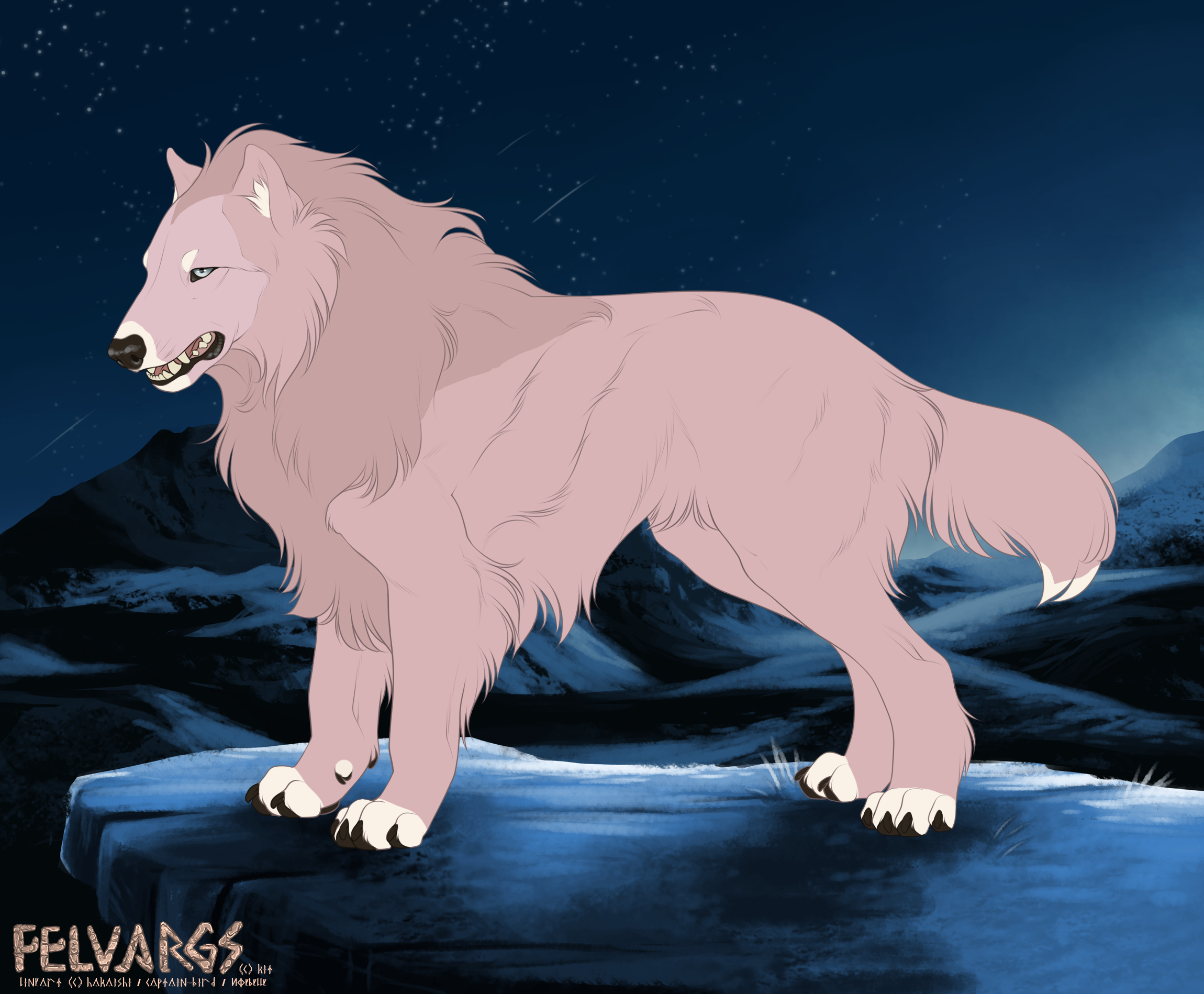 9494_rhys