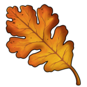 a_single_oak_leaf